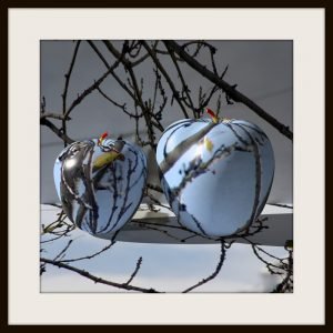 Zwei Äpfel II