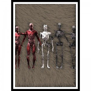 Gestalten I