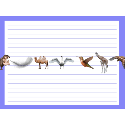 Animals and notes