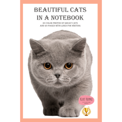 beautiful cats in a notebook